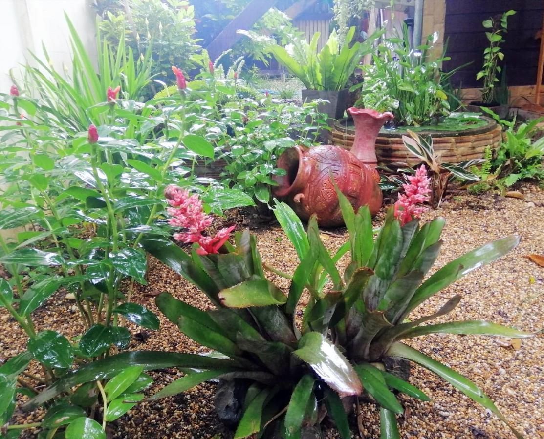 Homestay Chiangrai 치앙라이 외부 사진