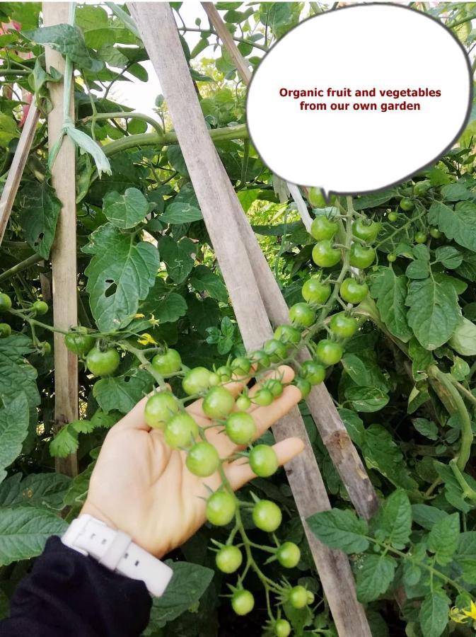 Homestay Chiangrai 치앙라이 외부 사진