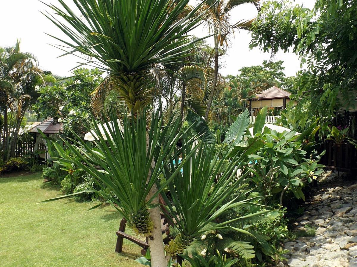Homestay Chiangrai 치앙라이 외부 사진